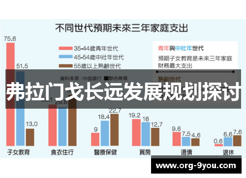 弗拉门戈长远发展规划探讨