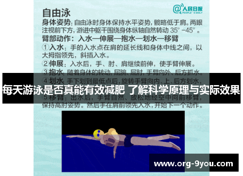 每天游泳是否真能有效减肥 了解科学原理与实际效果