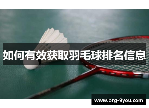 如何有效获取羽毛球排名信息