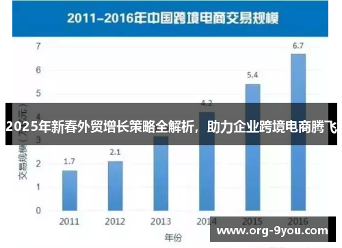 2025年新春外贸增长策略全解析，助力企业跨境电商腾飞