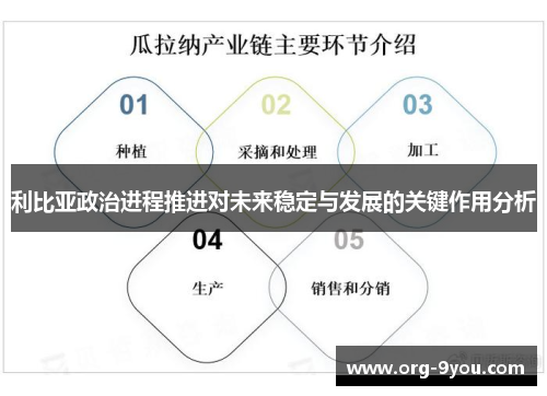 利比亚政治进程推进对未来稳定与发展的关键作用分析