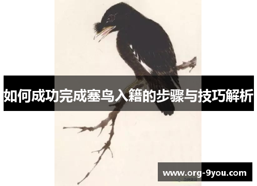 如何成功完成塞鸟入籍的步骤与技巧解析