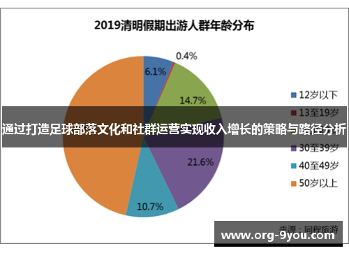 通过打造足球部落文化和社群运营实现收入增长的策略与路径分析